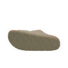 Birkenstock Chancletas y Sandalias Mujer Arizona BF VERDE vista frontal girada 45º