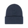 Element Gorro HIGH ICON BEANIE MARINO 02