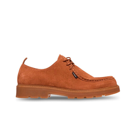 ELEMENT LMT DERBY marron