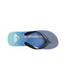 Quiksilver Chancletas y Sandalias Hombre MOLOKAI ART II  vista trasera