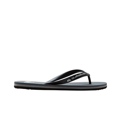 QUIKSILVER MOLOKAI CORE gris