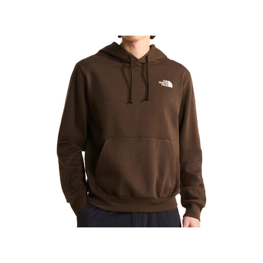 THE NORTH FACE M EVOLUTION BOX NSE REGULAR HOODIE marron