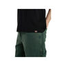 Dickies Camiseta Hombre BURNS TEE SS 04