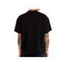 Dickies Camiseta Hombre RARDEN SS TEE BLACK vista trasera