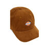 Dickies Gorra HARDWICK CORD CAP 2 03