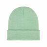 Dickies Gorro GIBSLAND BEANIE 02
