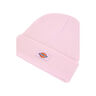 Dickies Gorro GIBSLAND BEANIE 03