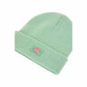 Dickies Gorro GIBSLAND BEANIE 03