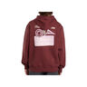 Dickies Sudadera Hombre DONUT HOUSE HOODIE vista trasera