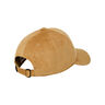 Element Gorra ICON DAD CAP CORDUROY 02