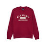 Element Sudadera Hombre HOME TEAM CR 04