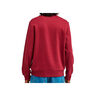 Element Sudadera Hombre HOME TEAM CR vista trasera