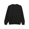 Element Sudadera Hombre ICON RAIN CR 04