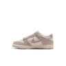 Nike Zapatillas Niña/os NIKE DUNK LOW SE (GS) puntera