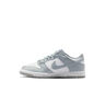 Nike Zapatillas Niña/os Nike DunkLow puntera