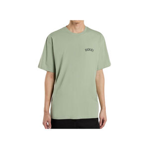 DICKIES SNAKE SS TEE
