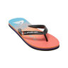 Quiksilver Chancletas y Sandalias Hombre MOLOKAI ART II lateral interior