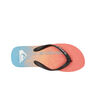 Quiksilver Chancletas y Sandalias Hombre MOLOKAI ART II vista trasera