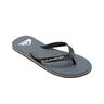 Quiksilver Chancletas y Sandalias Hombre MOLOKAI CORE lateral interior