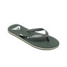 Quiksilver Chancletas y Sandalias Hombre MOLOKAI CORE lateral interior