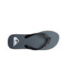 Quiksilver Chancletas y Sandalias Hombre MOLOKAI CORE vista trasera