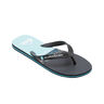 Quiksilver Chancletas y Sandalias Hombre MOLOKAI STRIPE lateral interior