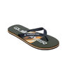Quiksilver Chancletas y Sandalias Hombre MOLOKAISTRIPE26 lateral interior
