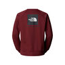 The North Face Sudadera Hombre M RAGLAN BOX NSE CREW vista trasera