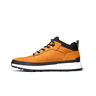 Timberland Zapatillas Hombre LOW LACE SNEAKER puntera
