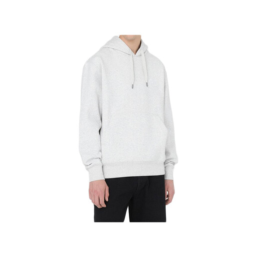 DICKIES SUMMERDALE HOODIE gris