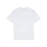 Dickies Camiseta Hombre SUMMERDALE TEE SS vista trasera Dickies Camiseta Hombre SUMMERDALE TEE SS vista trasera