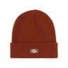 Dickies Gorro GIBSLAND BEANIE vista frontal