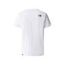 The North Face Camiseta Hombre M S/S SIMPLE DOME TEE vista trasera The North Face Camiseta Hombre M S/S SIMPLE DOME TEE vista trasera