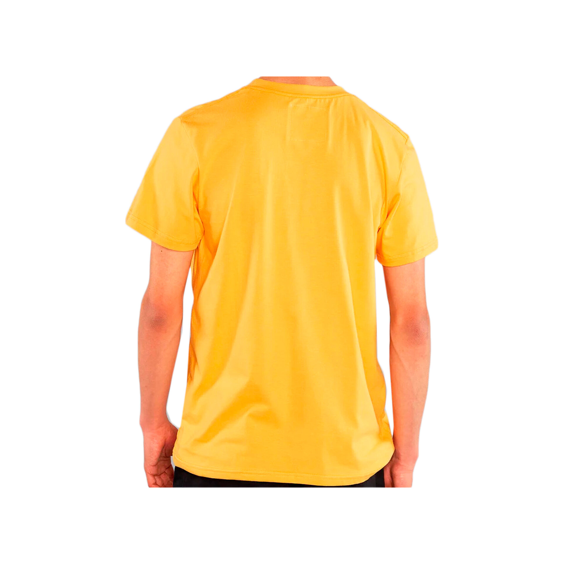 Dedicated Camiseta Hombre T-shirt Stockholm Save The Whales vista trasera Dedicated Camiseta Hombre T-shirt Stockholm Save The Whales vista trasera