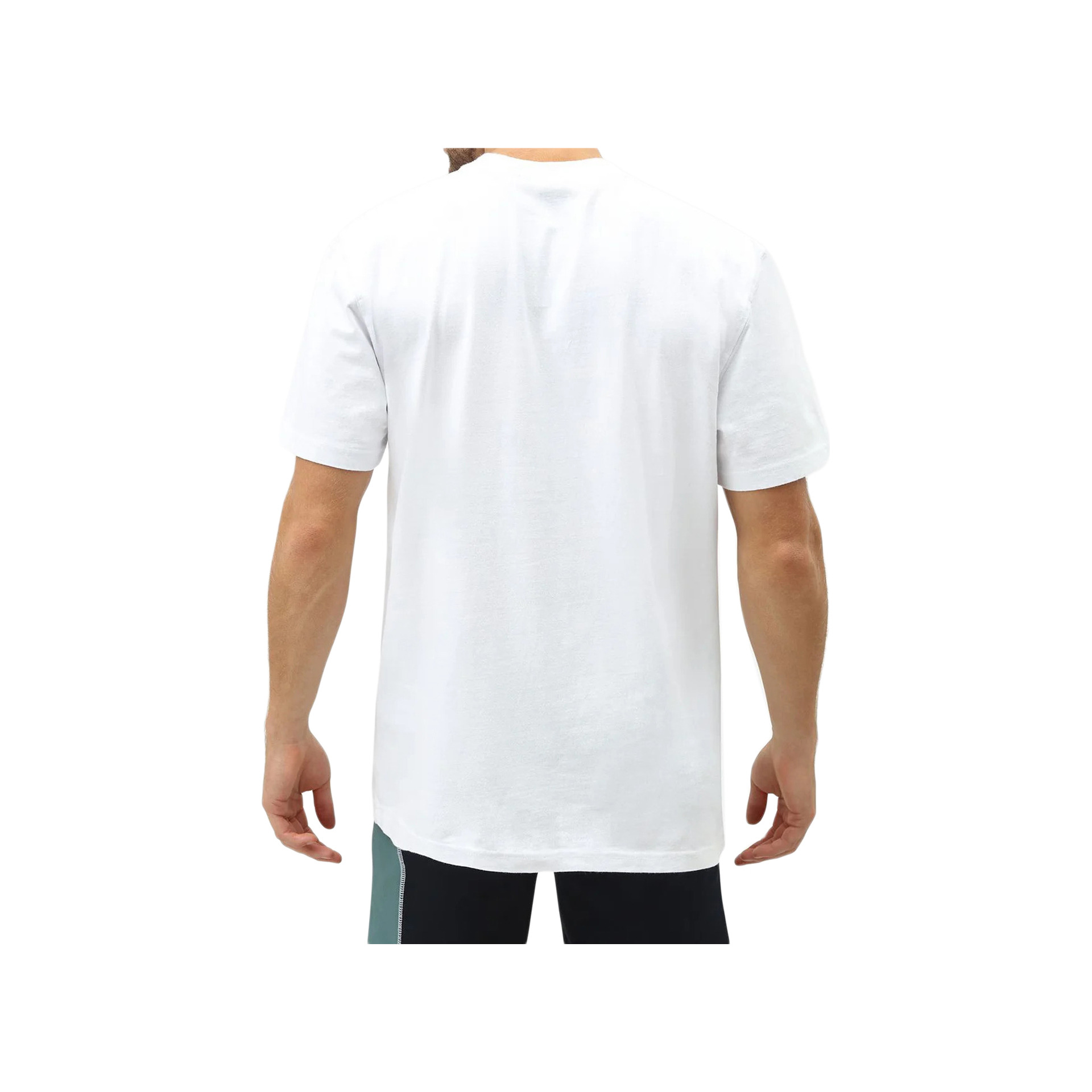 Dickies Camiseta Hombre PORTERDALE 03 Dickies Camiseta Hombre PORTERDALE 03
