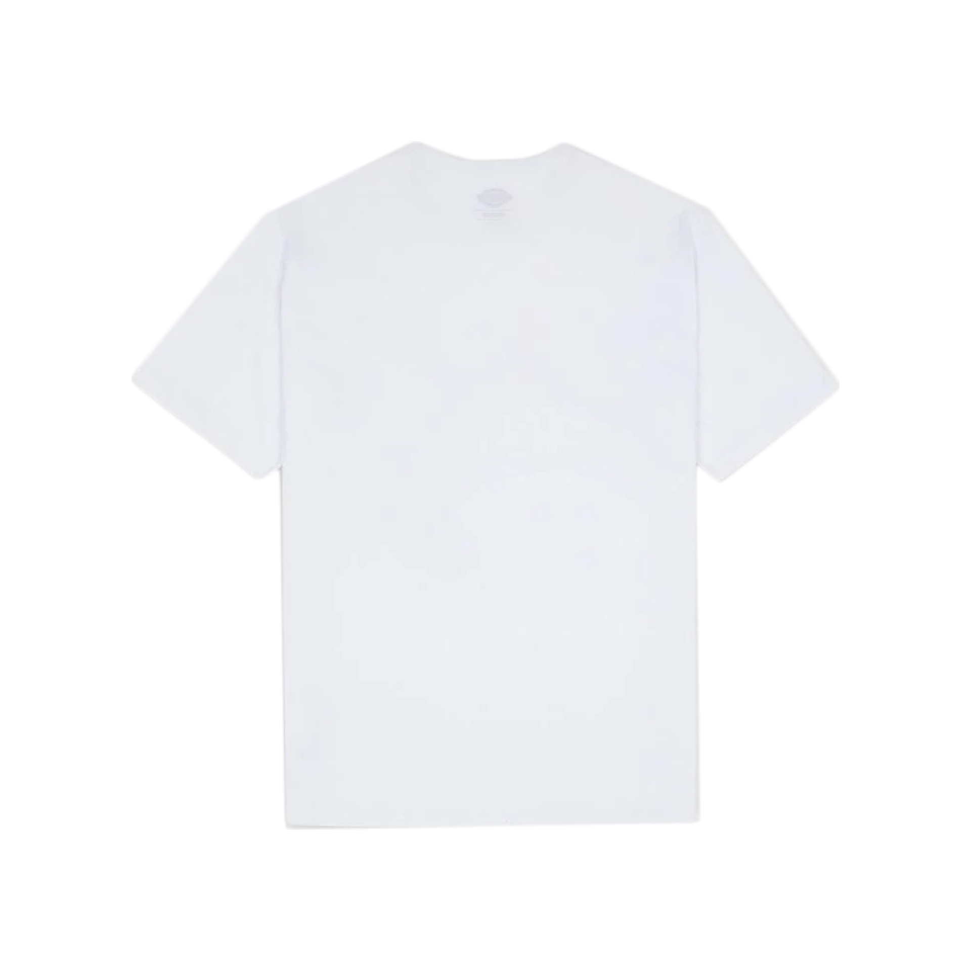 Dickies Camiseta Hombre SUMMERDALE TEE SS vista trasera Dickies Camiseta Hombre SUMMERDALE TEE SS vista trasera
