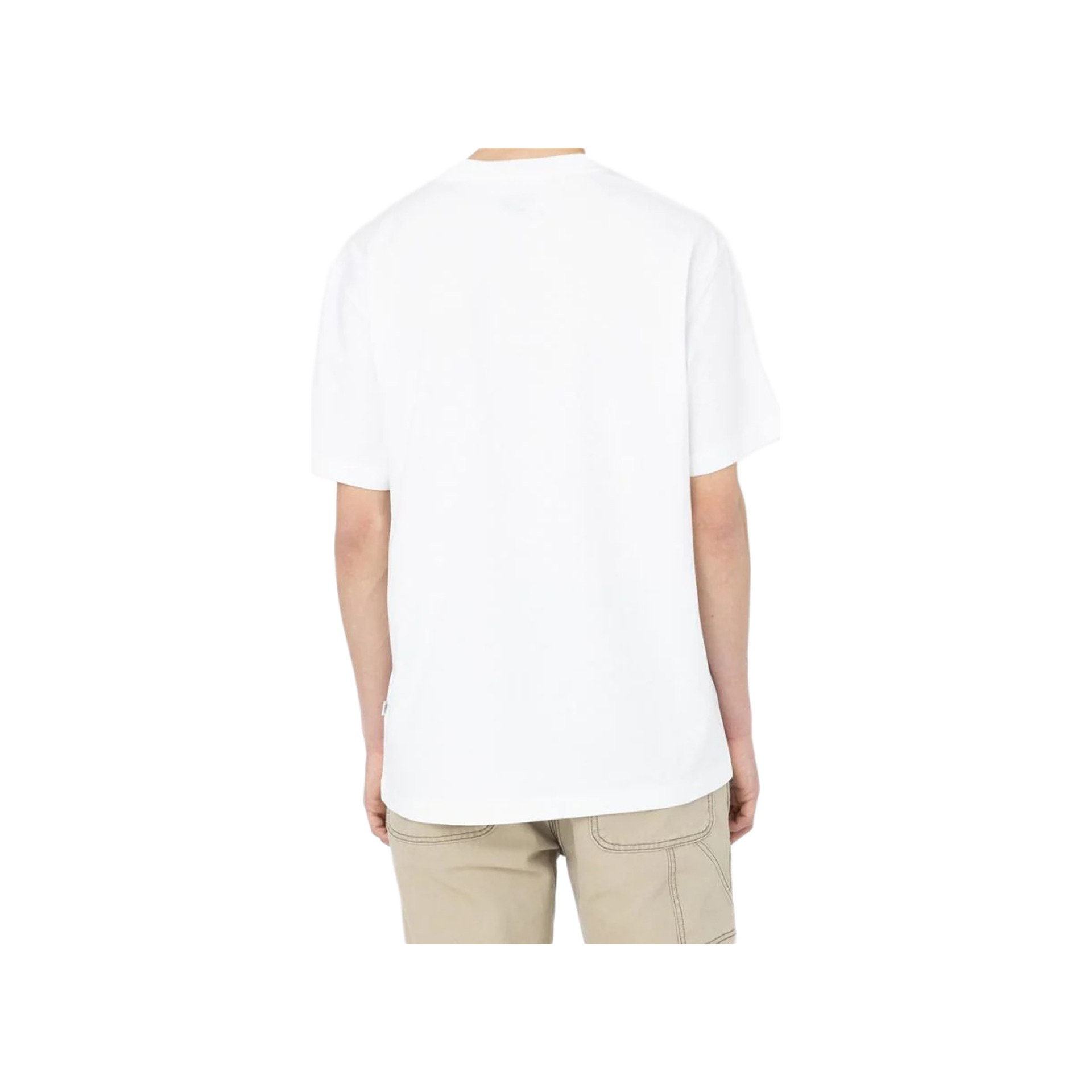 Dickies Camiseta Hombre SUMMERDALE TEE SS 04 Dickies Camiseta Hombre SUMMERDALE TEE SS 04