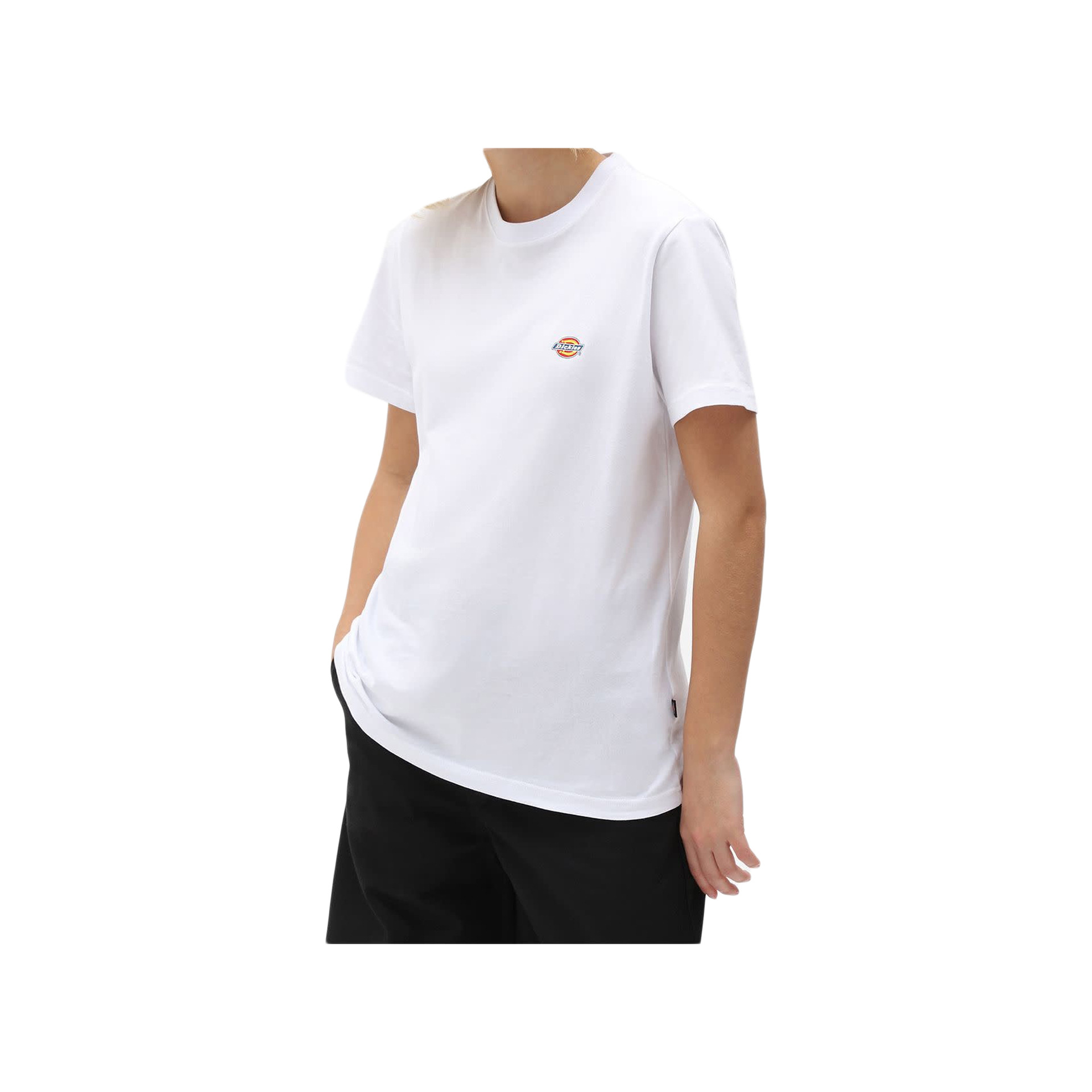 Dickies Camiseta Hombre SS MAPLETON T-SHIRT vista frontal Dickies Camiseta Hombre SS MAPLETON T-SHIRT vista frontal