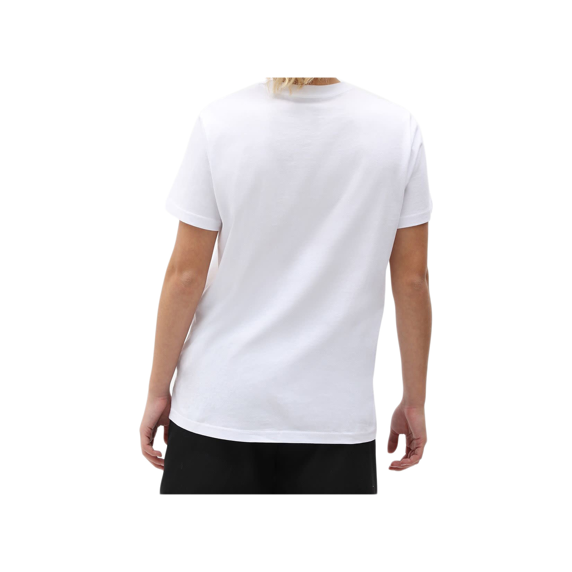 Dickies Camiseta Hombre SS MAPLETON T-SHIRT vista trasera Dickies Camiseta Hombre SS MAPLETON T-SHIRT vista trasera
