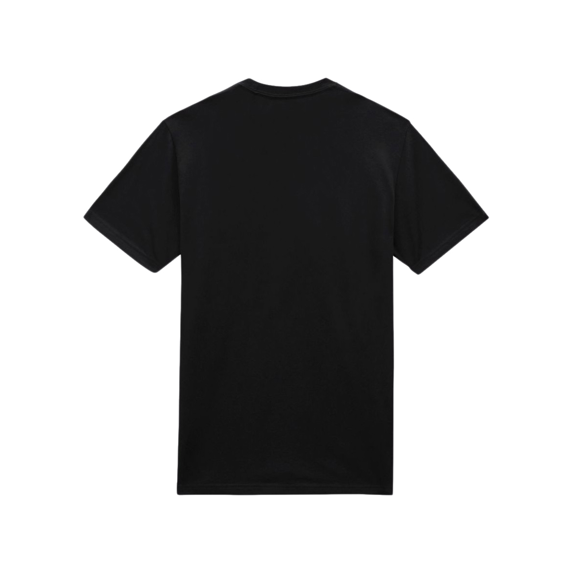 Dickies Camiseta Hombre SS MAPLETON T-SHIRT vista trasera Dickies Camiseta Hombre SS MAPLETON T-SHIRT vista trasera
