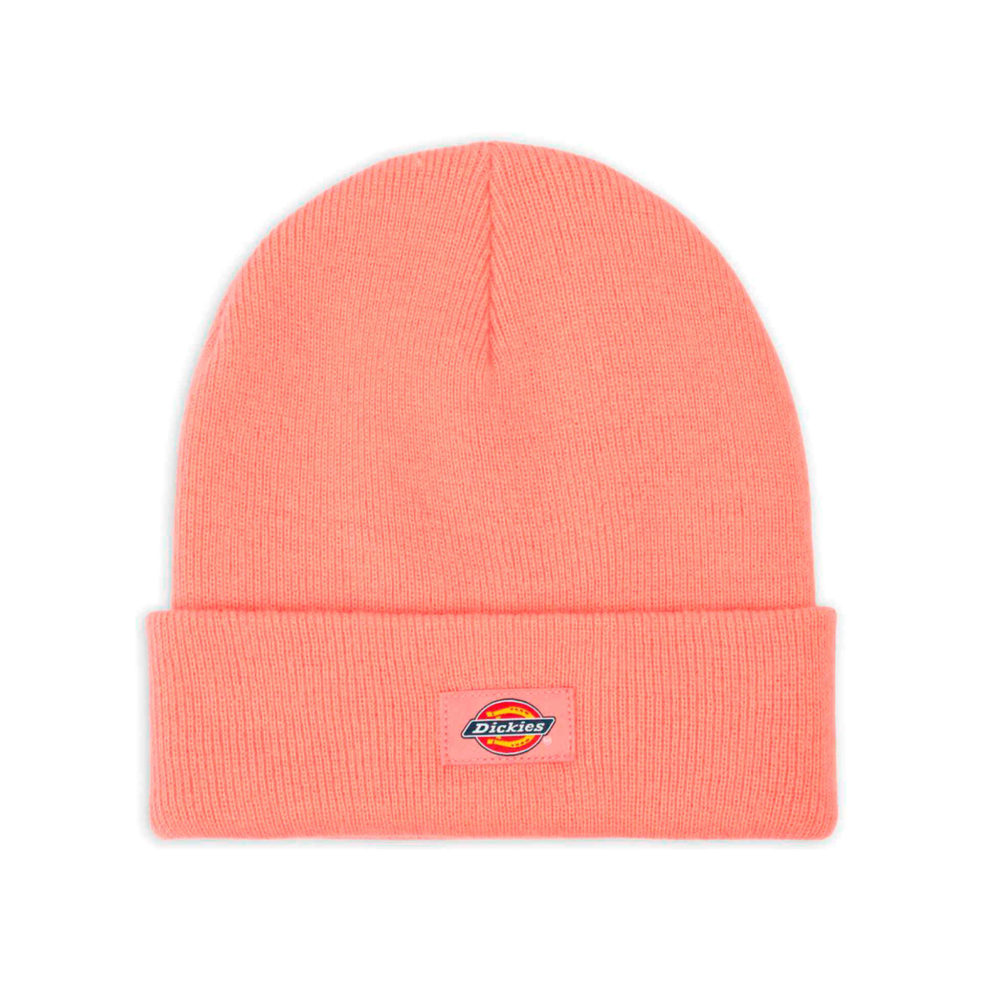 Dickies Gorro GIBSLAND BEANIE vista frontal Dickies Gorro GIBSLAND BEANIE vista frontal