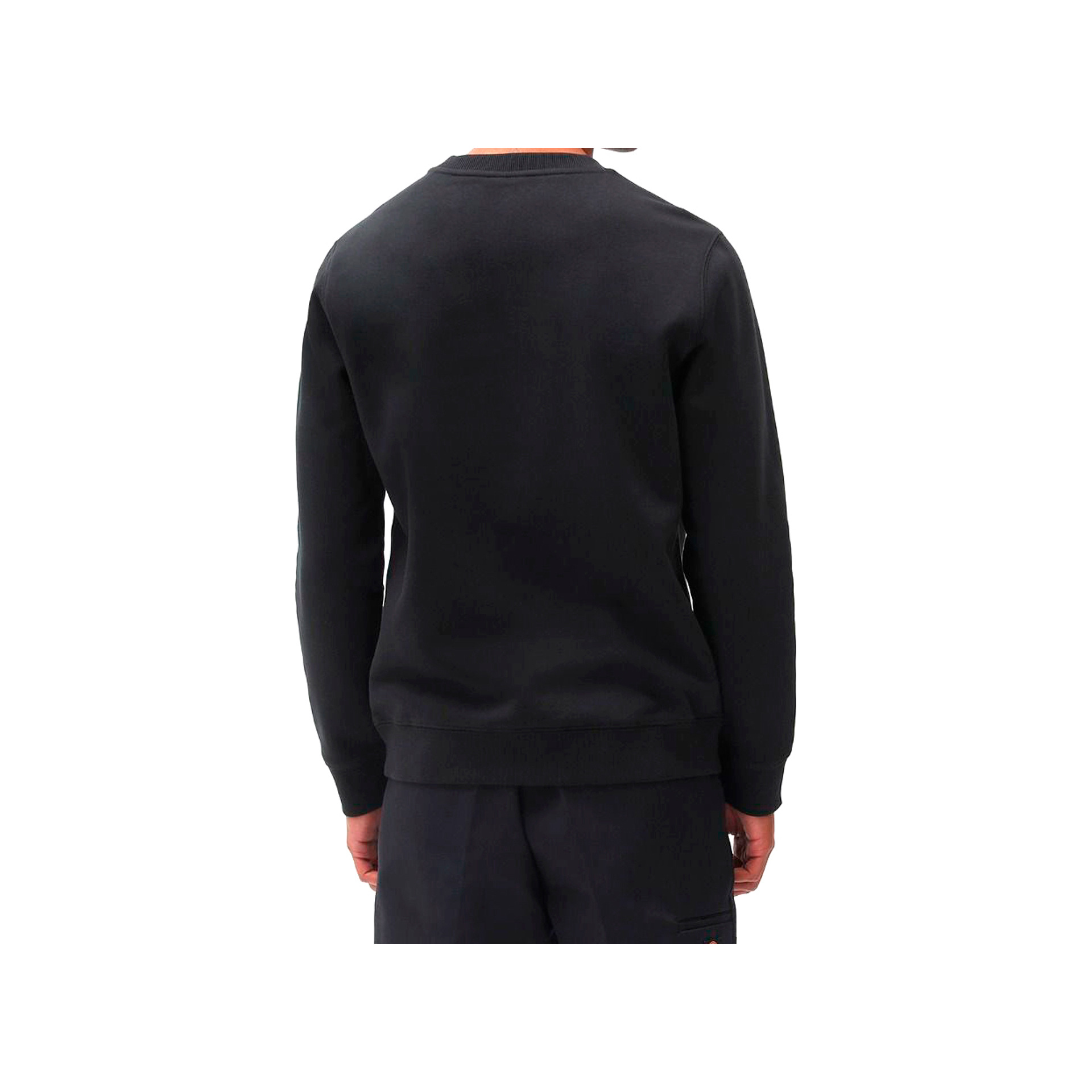 Dickies Sudadera Hombre OAKPORT SWEATSHIRT vista trasera Dickies Sudadera Hombre OAKPORT SWEATSHIRT vista trasera