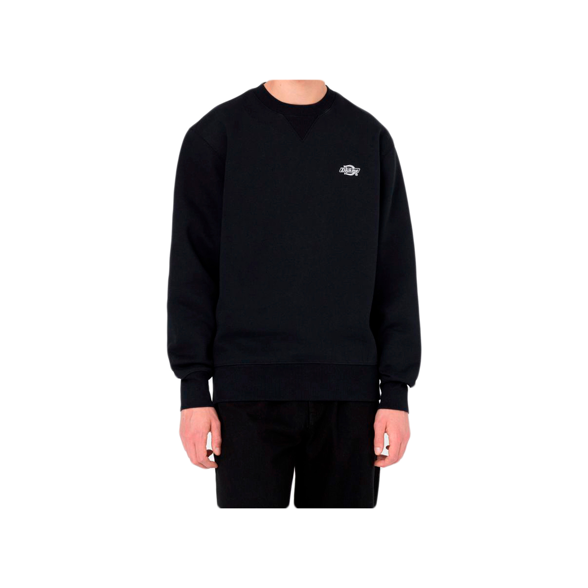 Dickies Sudadera Hombre SUMMERDALE SWEATSHIRT vista frontal Dickies Sudadera Hombre SUMMERDALE SWEATSHIRT vista frontal
