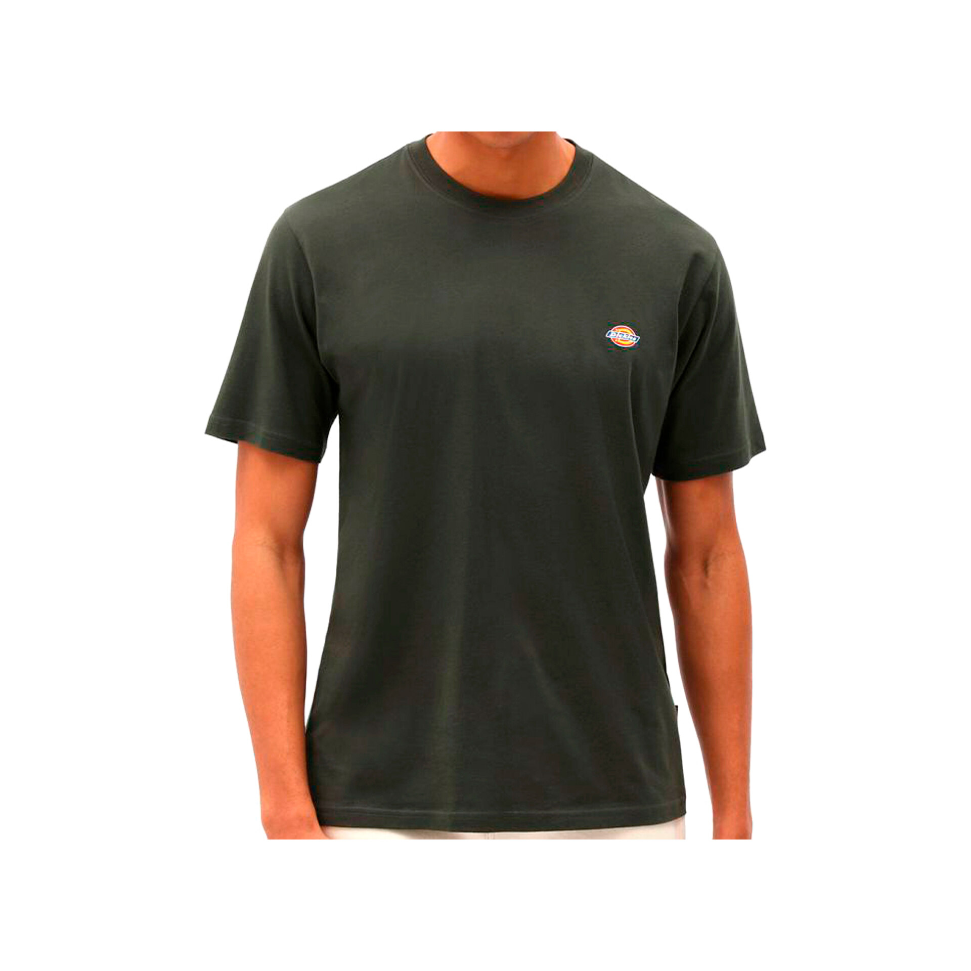Dickies Camiseta Hombre SS MAPLETON T-SHIRT vista frontal Dickies Camiseta Hombre SS MAPLETON T-SHIRT vista frontal