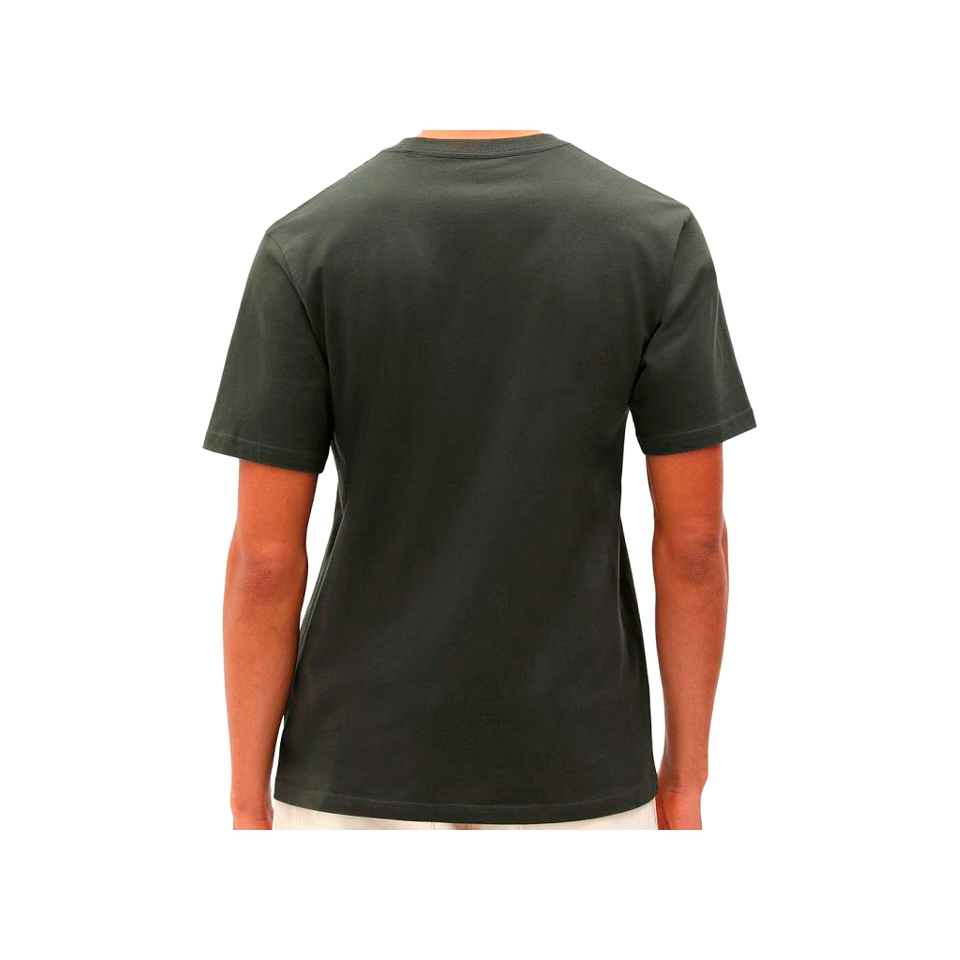 Dickies Camiseta Hombre SS MAPLETON T-SHIRT vista trasera Dickies Camiseta Hombre SS MAPLETON T-SHIRT vista trasera