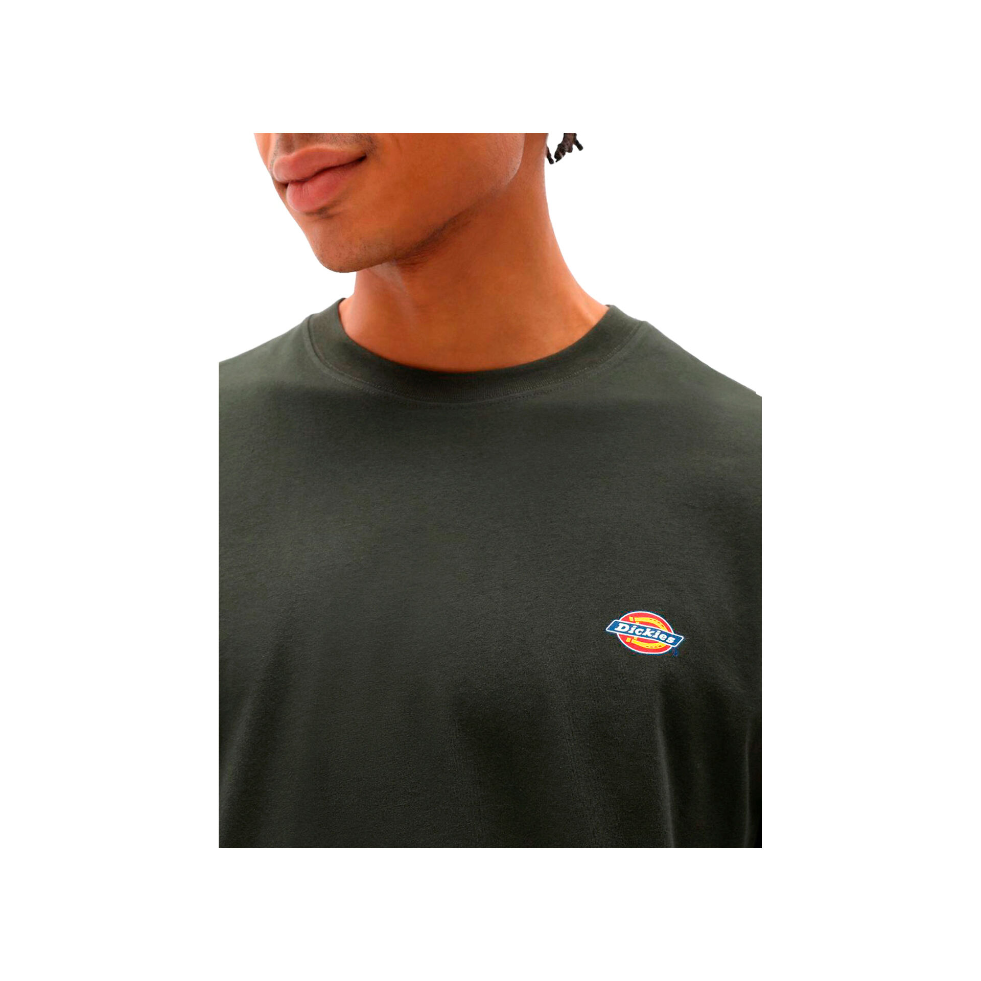 Dickies Camiseta Hombre SS MAPLETON T-SHIRT 03 Dickies Camiseta Hombre SS MAPLETON T-SHIRT 03