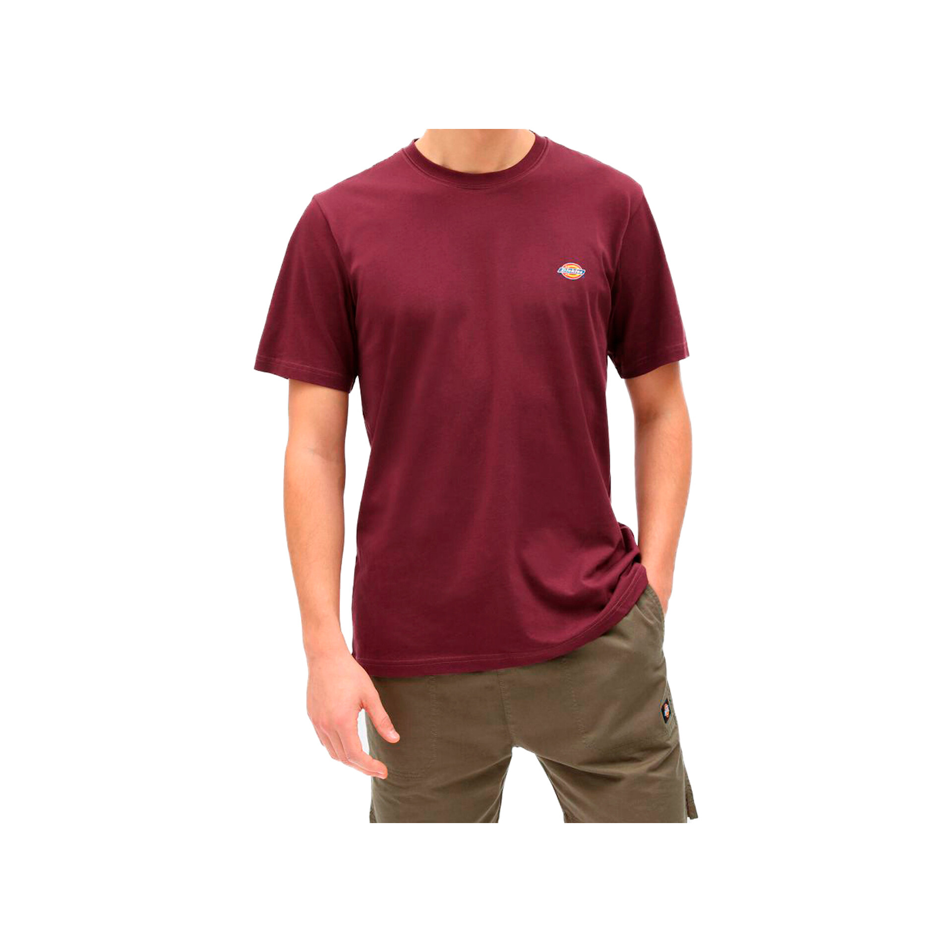 Dickies Camiseta Hombre SS MAPLETON T-SHIRT vista frontal Dickies Camiseta Hombre SS MAPLETON T-SHIRT vista frontal