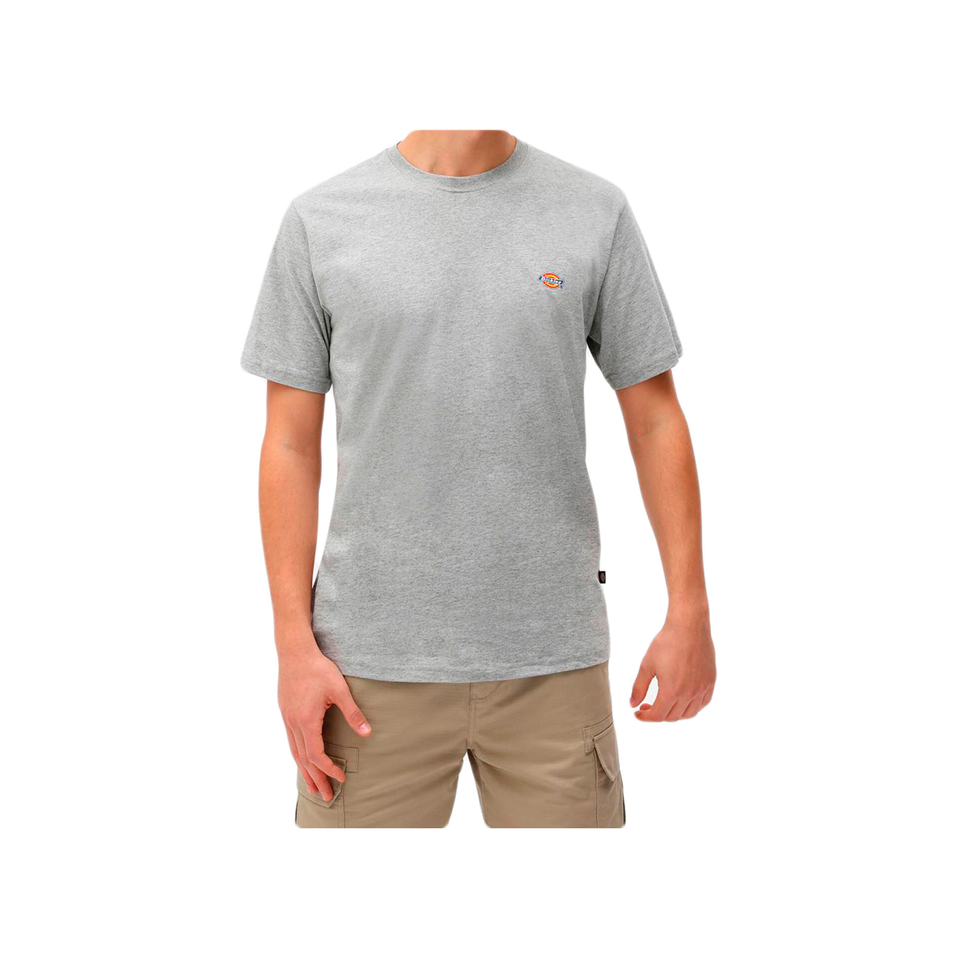Dickies Camiseta Hombre SS MAPLETON T-SHIRT vista frontal Dickies Camiseta Hombre SS MAPLETON T-SHIRT vista frontal