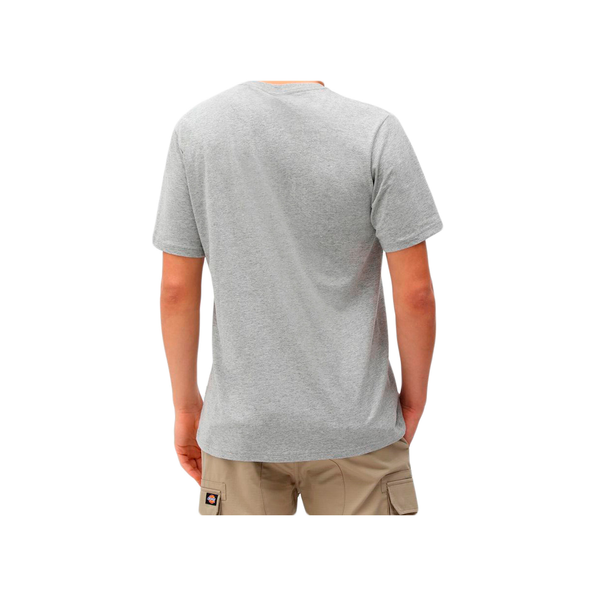 Dickies Camiseta Hombre SS MAPLETON T-SHIRT vista trasera Dickies Camiseta Hombre SS MAPLETON T-SHIRT vista trasera
