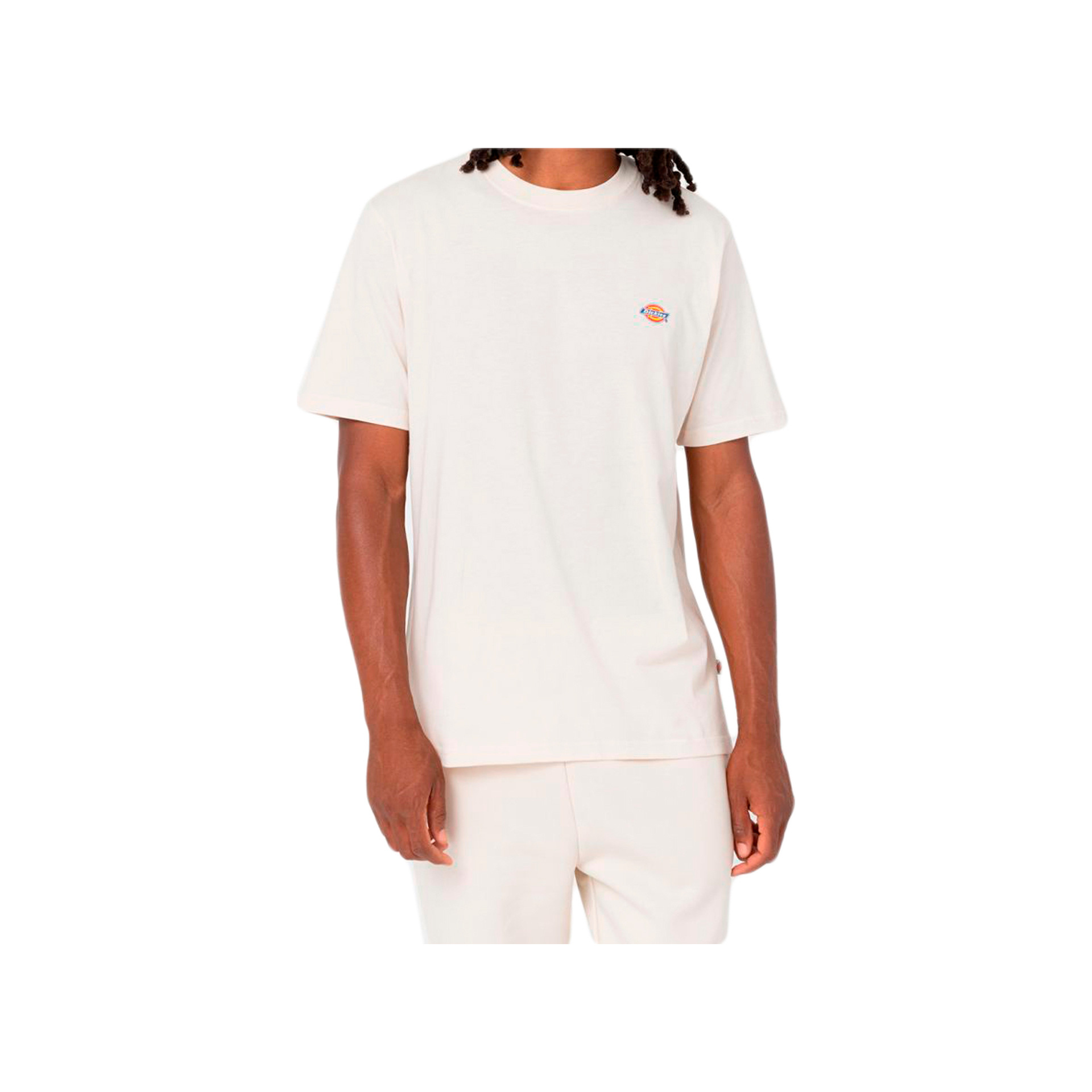 Dickies Camiseta Hombre SS MAPLETON T-SHIRT vista frontal Dickies Camiseta Hombre SS MAPLETON T-SHIRT vista frontal